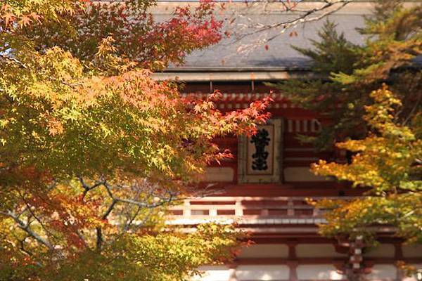 鞍馬寺秋色爛漫