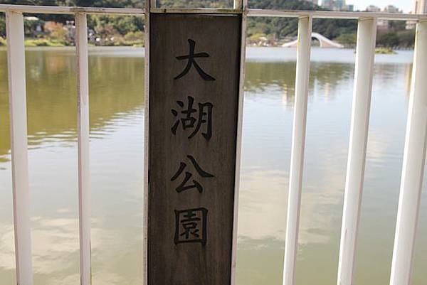 IMG_7482 IMG_7482