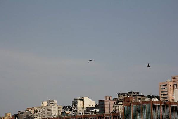 IMG_9079 IMG_9079