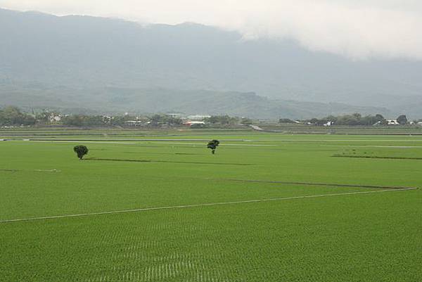 IMG_0043 IMG_0043