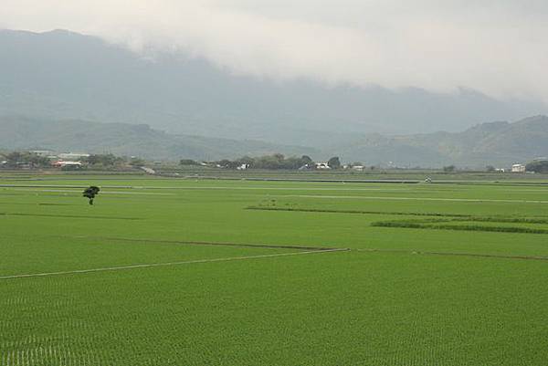 IMG_0046 IMG_0046