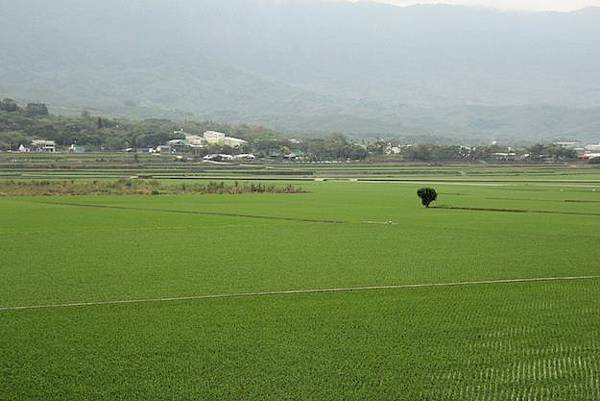 IMG_0048 IMG_0048