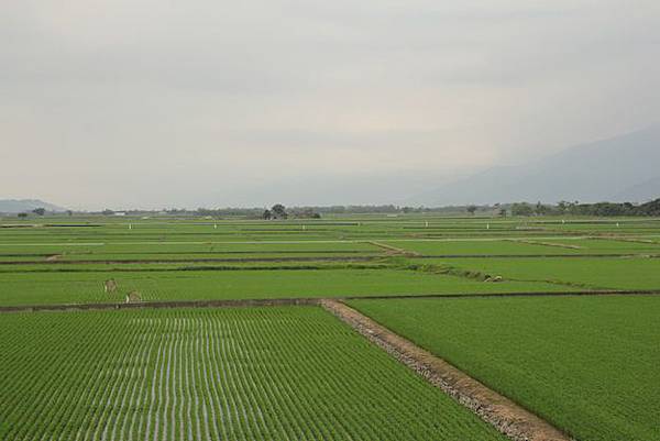 IMG_0050 IMG_0050