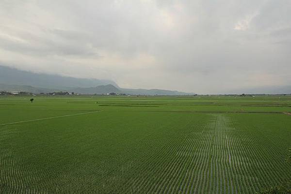 IMG_0068 IMG_0068
