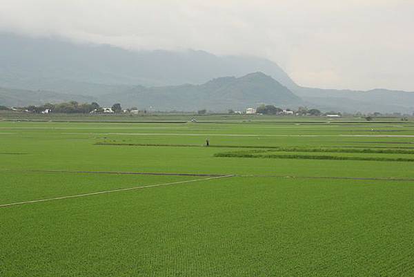 IMG_0069 IMG_0069