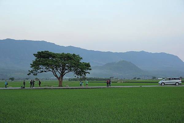 IMG_9981 IMG_9981