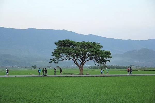 IMG_9980 IMG_9980