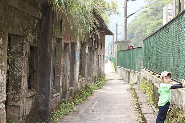 IMG_8605 IMG_8605