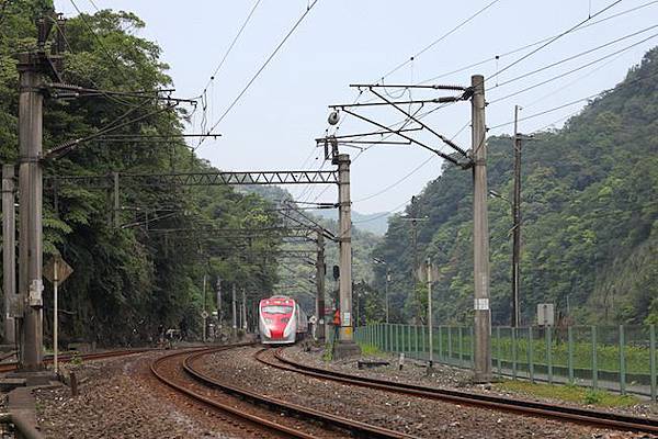 IMG_8639 IMG_8639