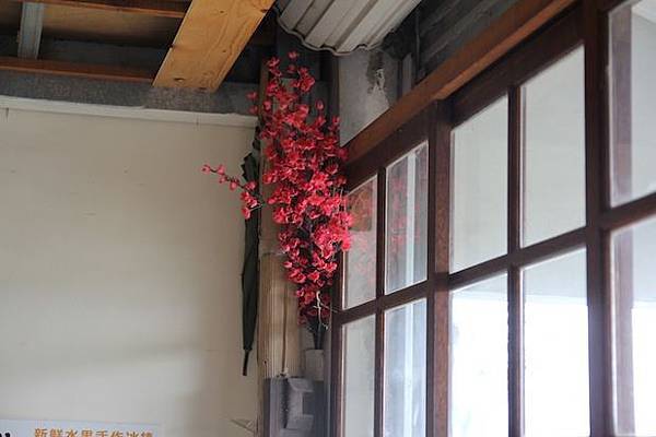 IMG_8605 IMG_8605