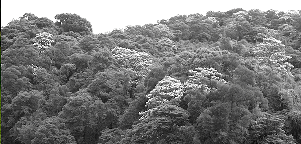 螢幕快照 2014-04-29 下午9.09.44