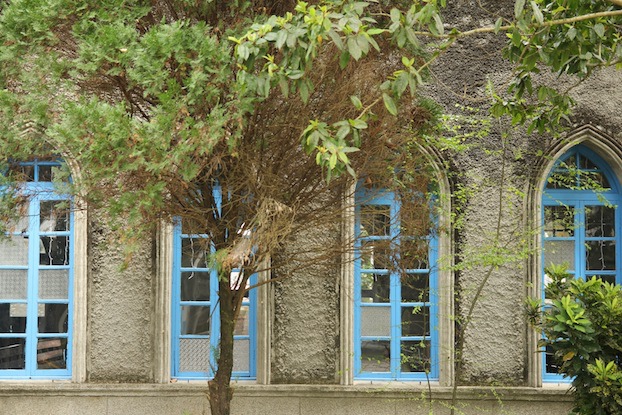 IMG_8548 IMG_8548