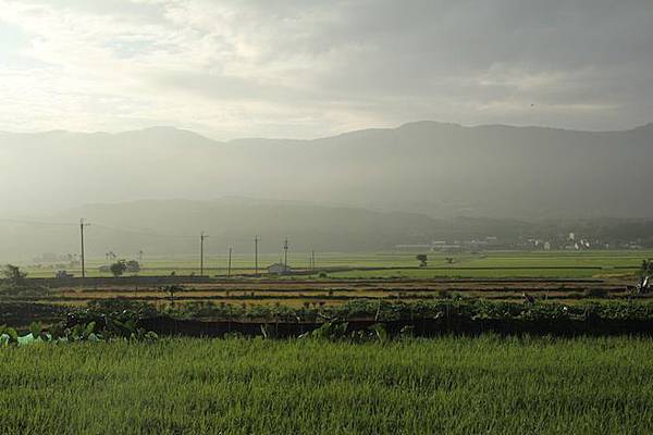 IMG_0787 IMG_0787
