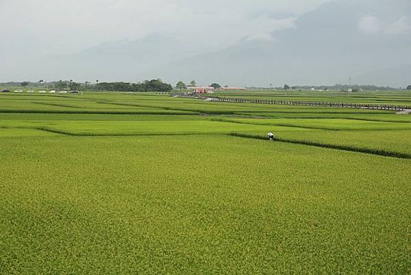 IMG_0660 IMG_0660