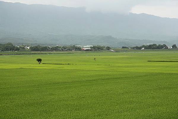 IMG_0663 IMG_0663