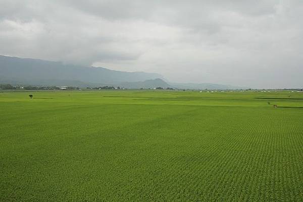 IMG_0665 IMG_0665