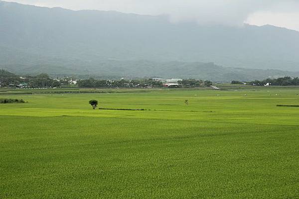 IMG_0666 IMG_0666