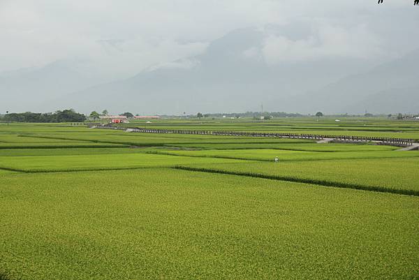 IMG_0667 IMG_0667
