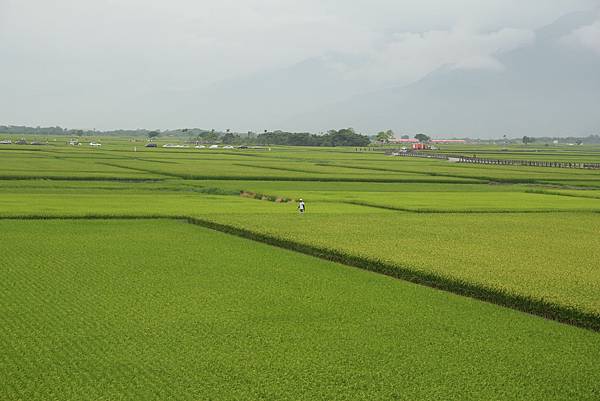 IMG_0677 IMG_0677