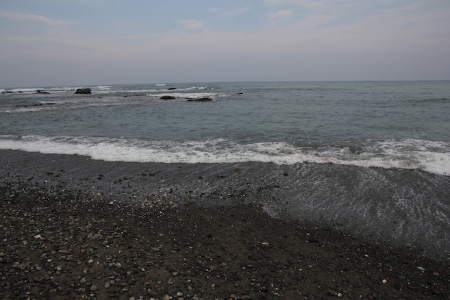 IMG_2323 IMG_2323