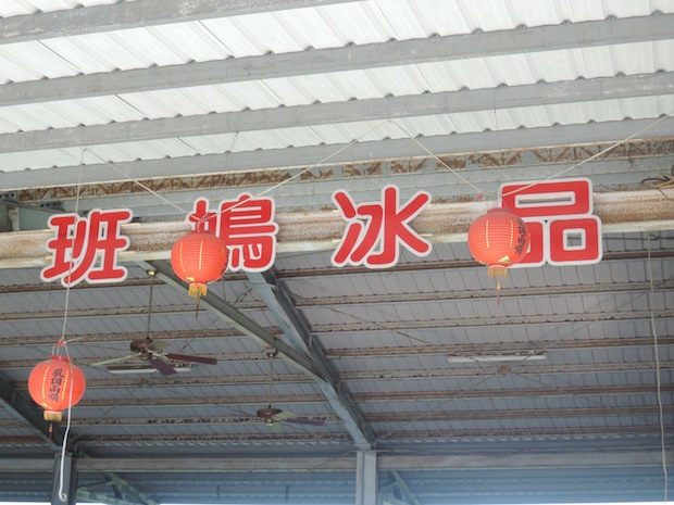 DSCN2231 DSCN2231