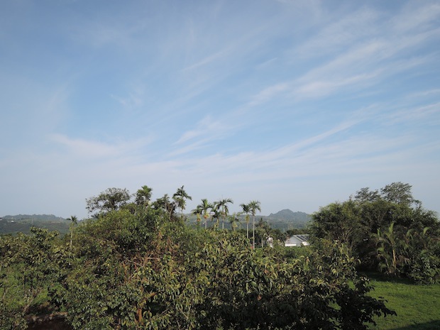 DSCN2247 DSCN2247