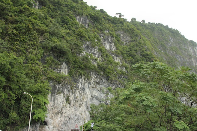 IMG_2860 IMG_2860