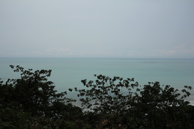 IMG_2864 IMG_2864