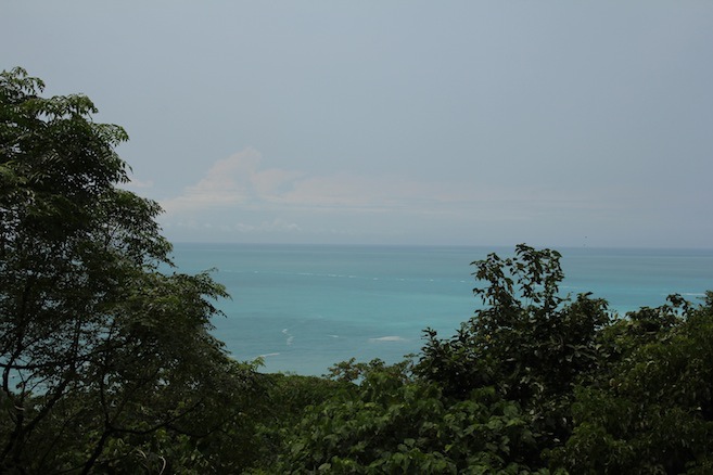 IMG_2875 IMG_2875