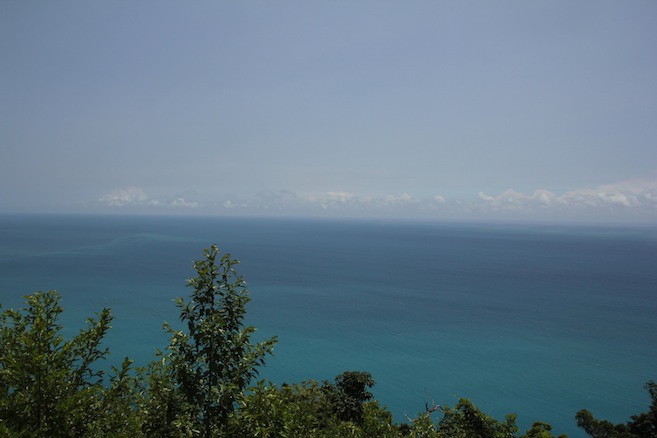 IMG_2894 IMG_2894