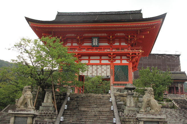 IMG_3960 IMG_3960