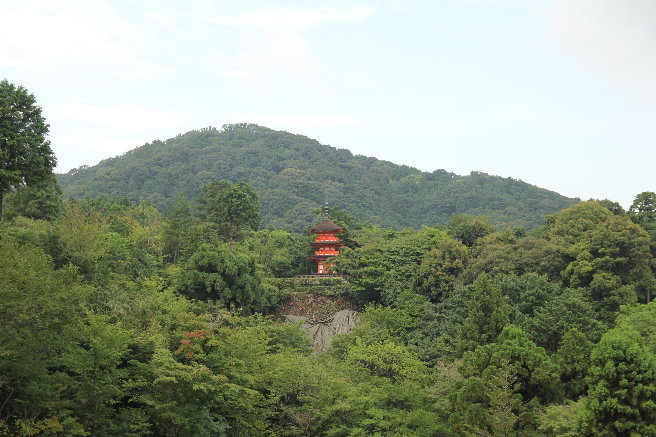 IMG_3992 IMG_3992