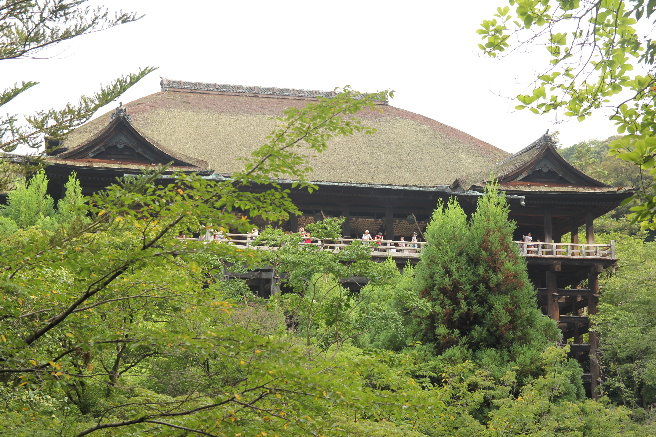 IMG_4016 IMG_4016