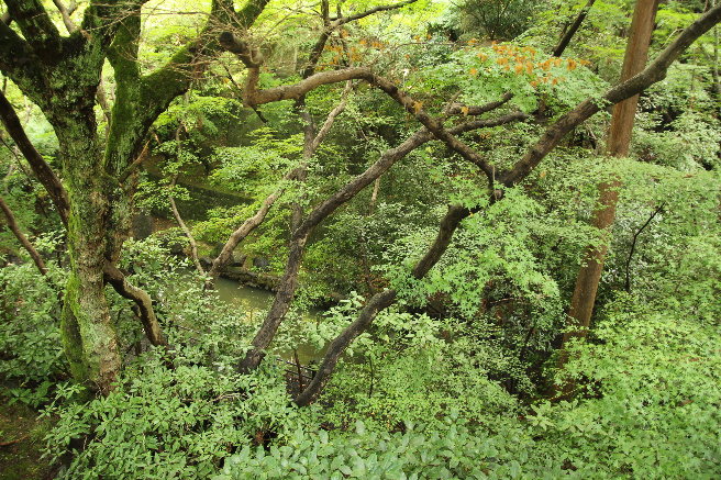 IMG_4028 IMG_4028