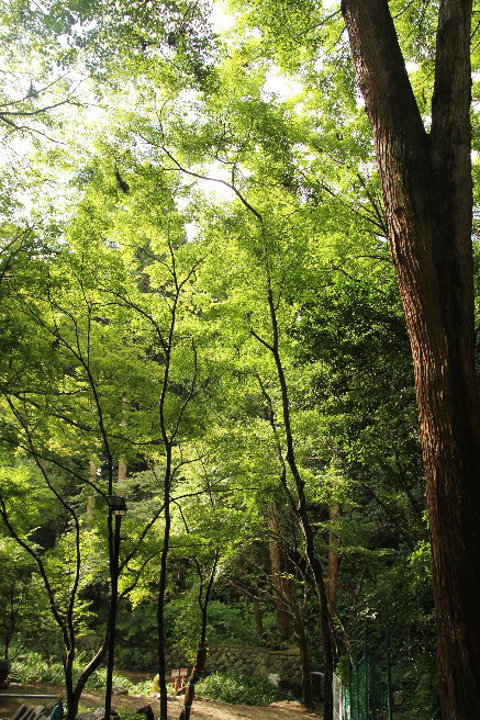 IMG_4042 IMG_4042