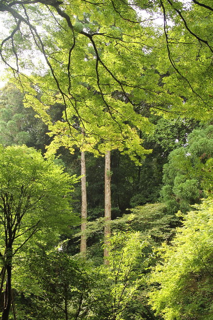 IMG_4044 IMG_4044