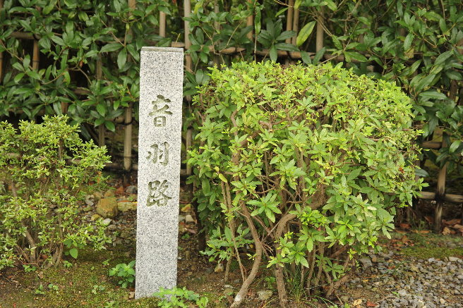 IMG_4048 IMG_4048