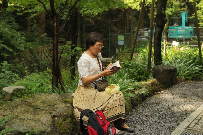 IMG_4046 IMG_4046