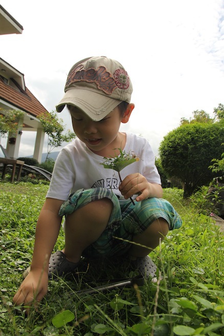 IMG_1039 IMG_1039