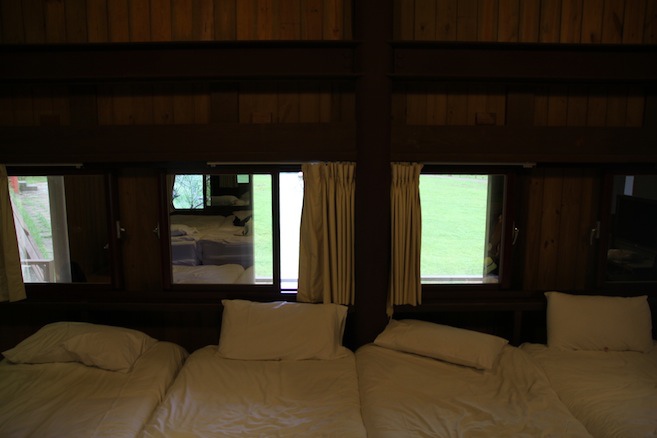 IMG_4774 IMG_4774
