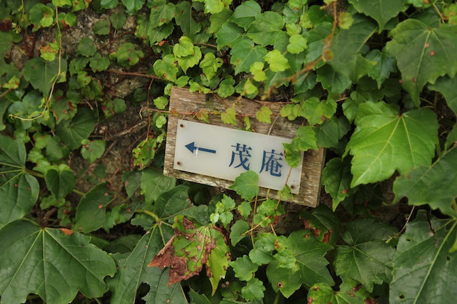 IMG_3480 IMG_3480