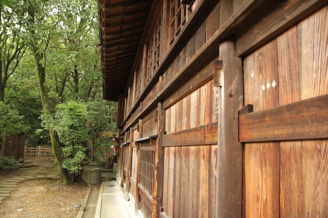 IMG_3506 IMG_3506