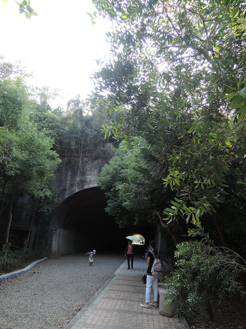 DSCN5473 DSCN5473