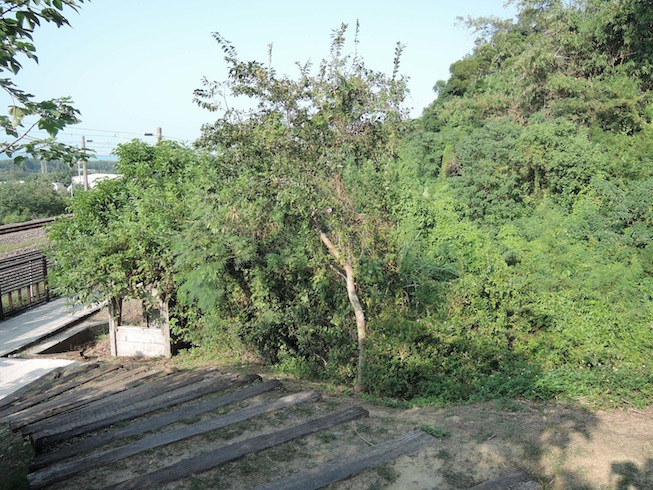 DSCN5484 DSCN5484