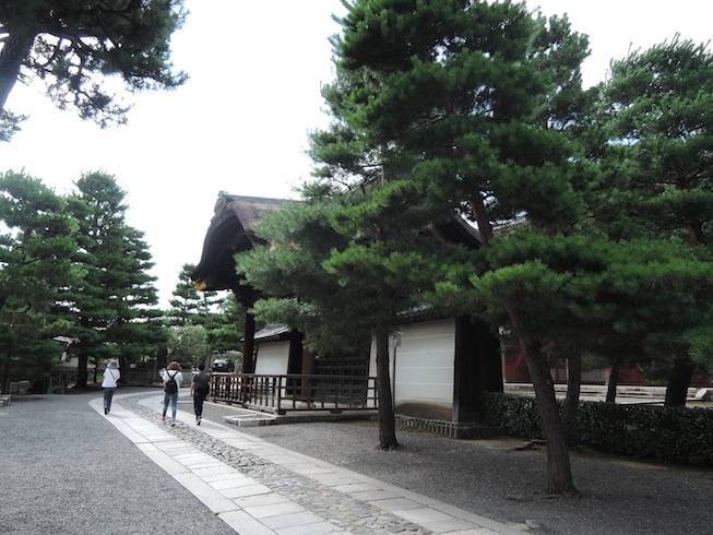 DSCN3099 DSCN3099