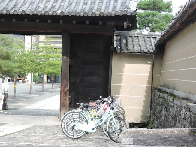 DSCN3103 DSCN3103