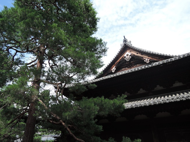 DSCN3108 DSCN3108