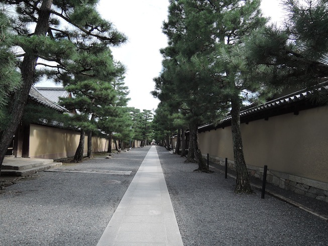 DSCN3116 DSCN3116