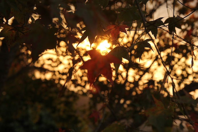IMG_5643 IMG_5643