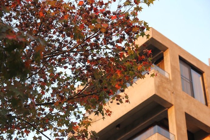 IMG_5668 IMG_5668